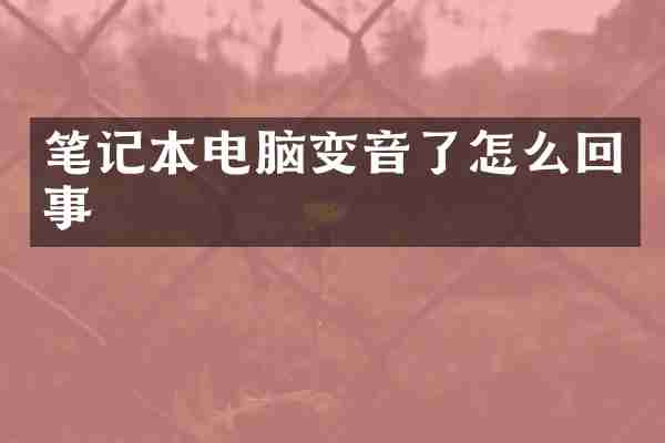 笔记本电脑变音了怎么回事