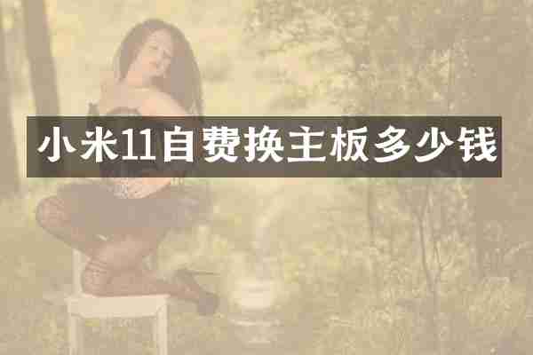 小米11自费换主板多少钱