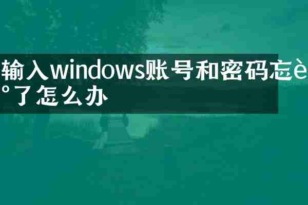输入windows账号和密码忘记了怎么办
