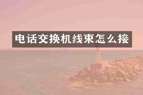 电话交换机线束怎么接