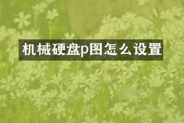 机械硬盘p图怎么设置