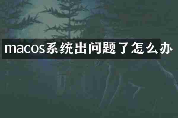 macos系统出问题了怎么办