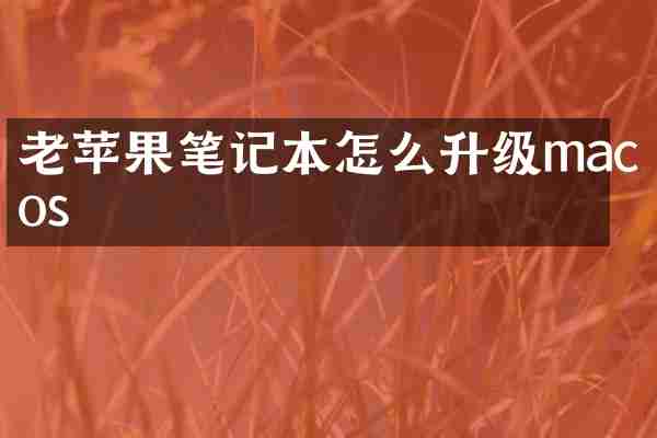 老苹果笔记本怎么升级macos