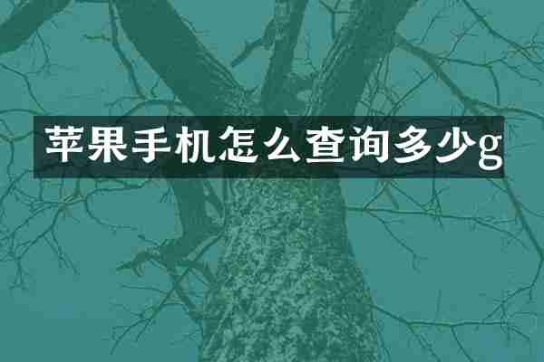 苹果手机怎么查询多少g