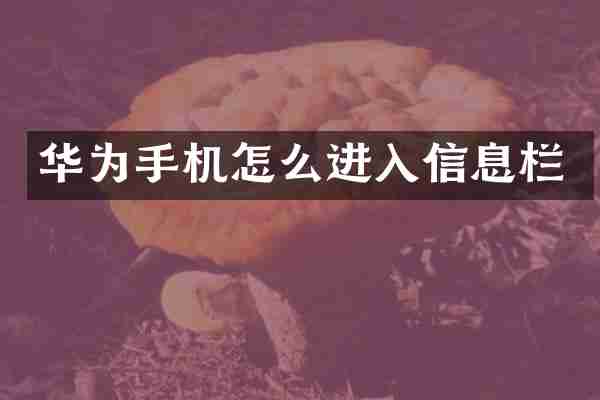 华为手机怎么进入信息栏