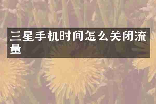 三星手机时间怎么关闭流量