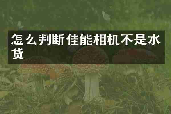 怎么判断佳能相机不是水货