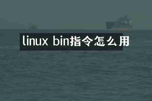 linux bin指令怎么用