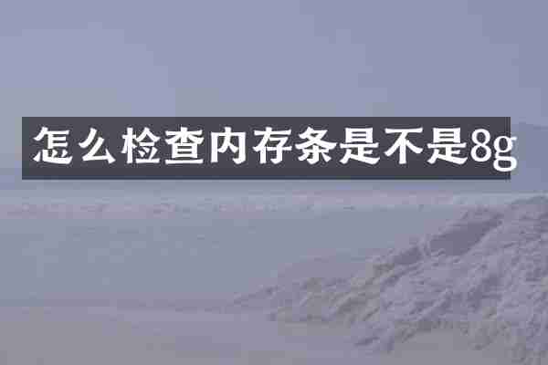 怎么检查内存条是不是8g