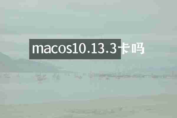 macos10.13.3卡吗