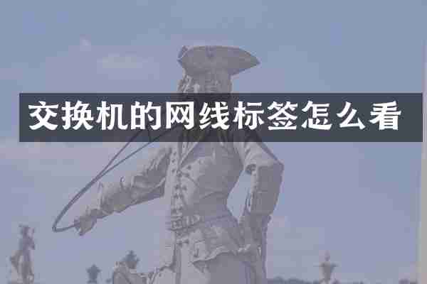 交换机的网线标签怎么看