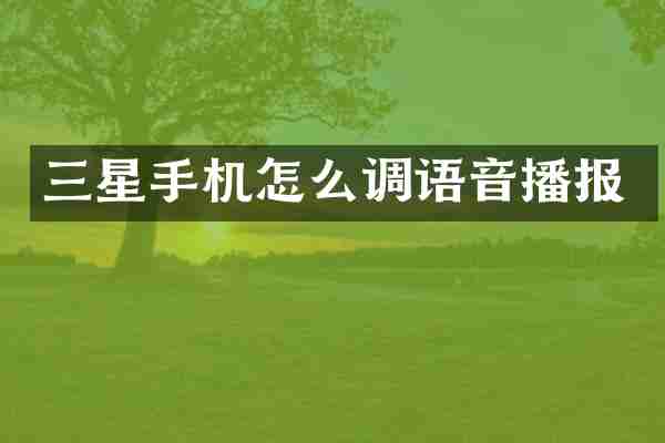 三星手机怎么调语音播报