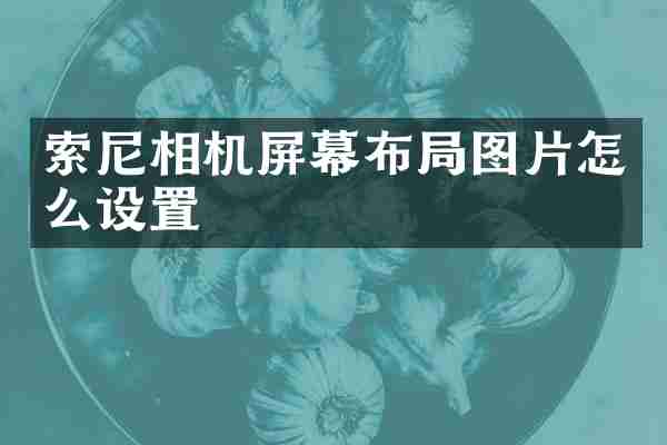 相机屏幕布局图片怎么设置