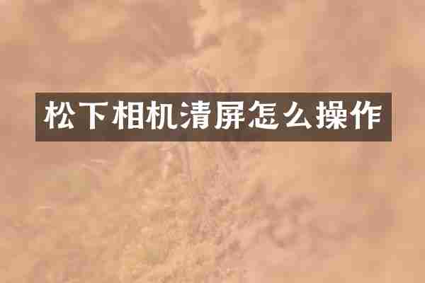 松下相机清屏怎么操作