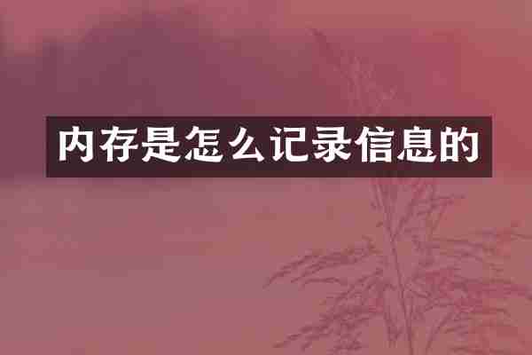内存是怎么记录信息的