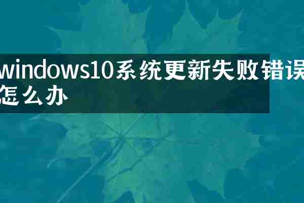 windows10系统更新失败错误怎么办