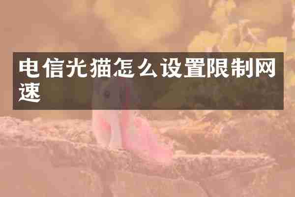 电信光猫怎么设置限制网速