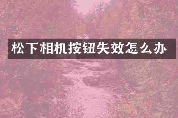 松下相机按钮失效怎么办