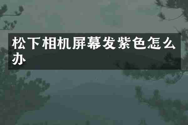 松下相机屏幕发紫色怎么办