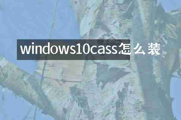 windows10cass怎么装