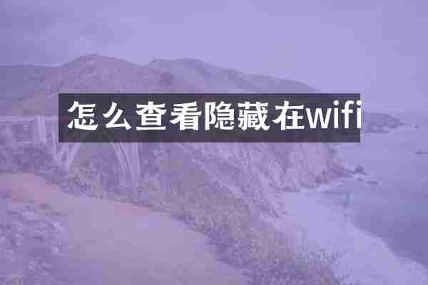 怎么查看隐藏在wifi