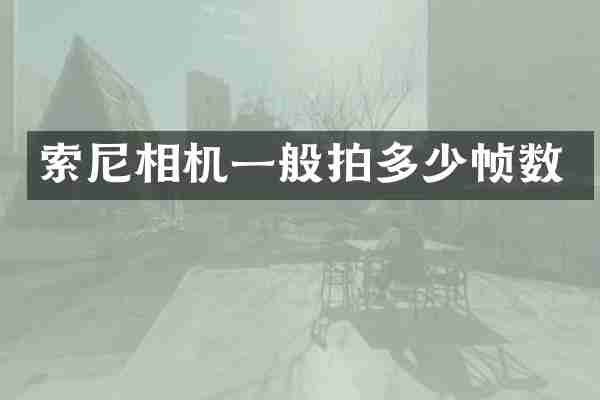 索尼相机一般拍多少帧数