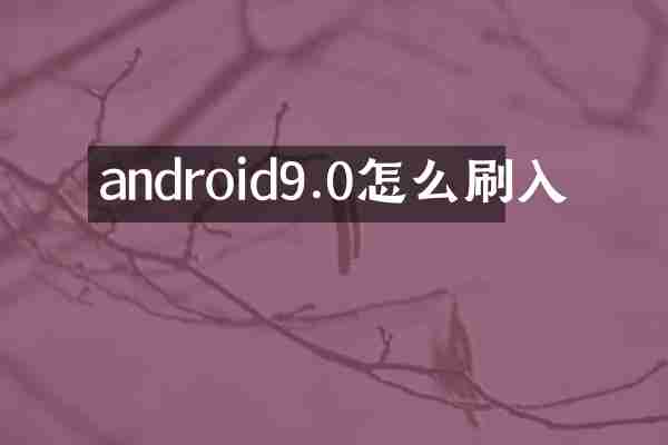 android9.0怎么刷入