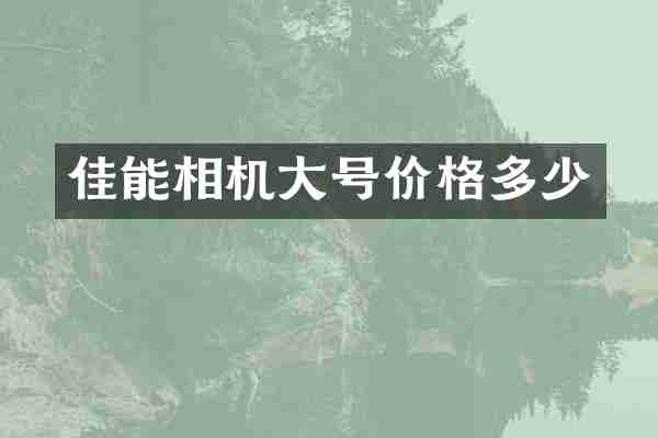 佳能相机大号价格多少