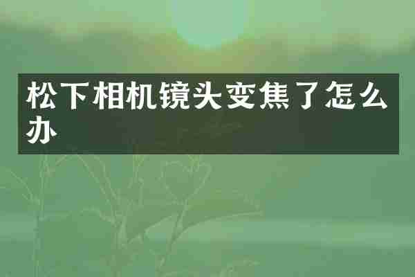 松下相机镜头变焦了怎么办