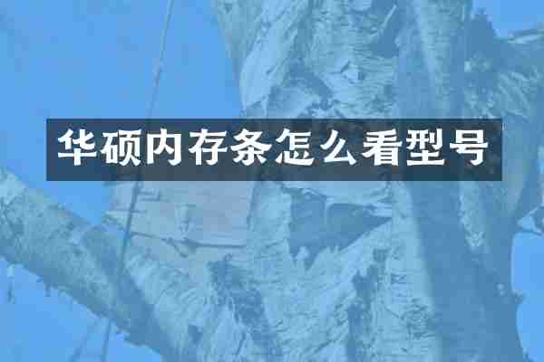 华硕内存条怎么看型号