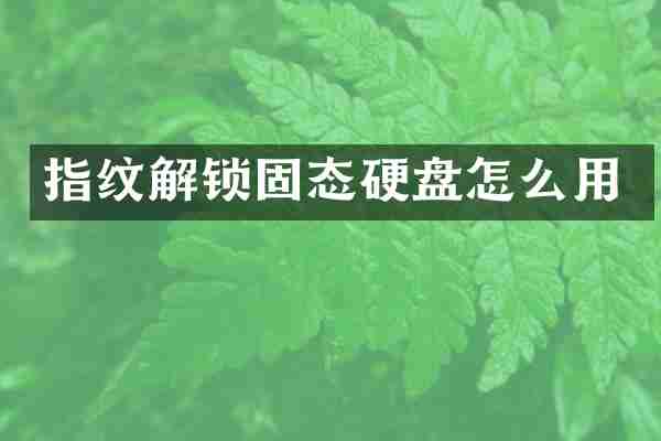 指纹解锁固态硬盘怎么用