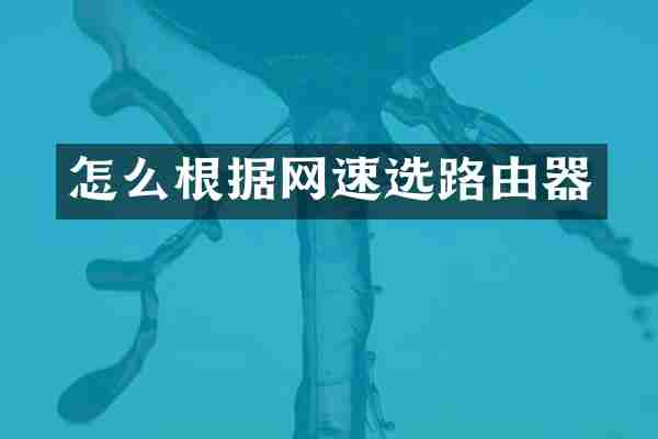 怎么根据网速选路由器