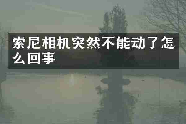 索尼相机突然不能动了怎么回事