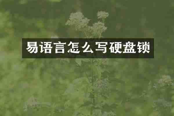 易语言怎么写硬盘锁