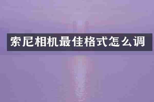 索尼相机最佳格式怎么调