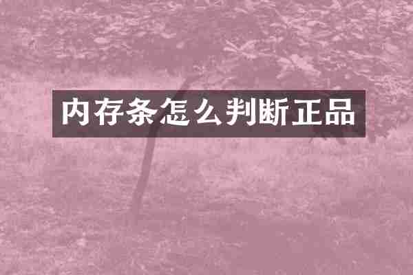 内存条怎么判断正品