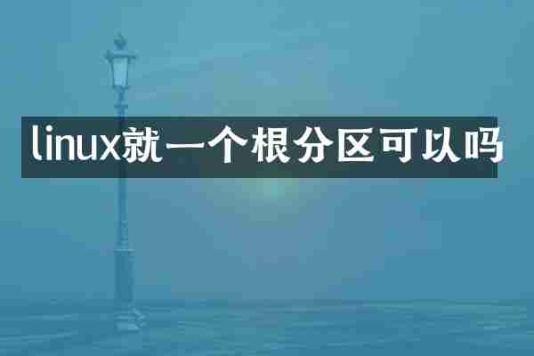 linux就一个根分区可以吗