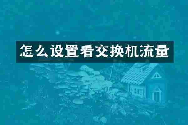 怎么设置看交换机流量