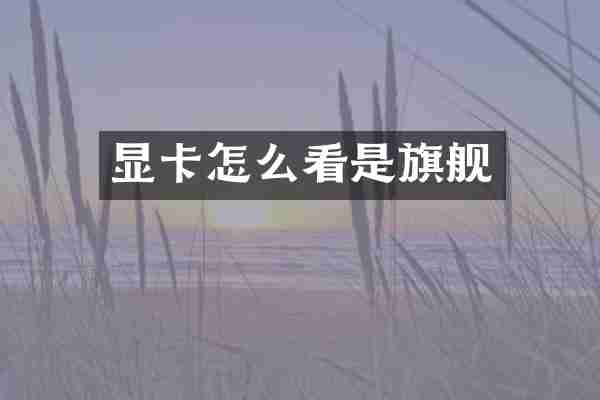 显卡怎么看是旗舰