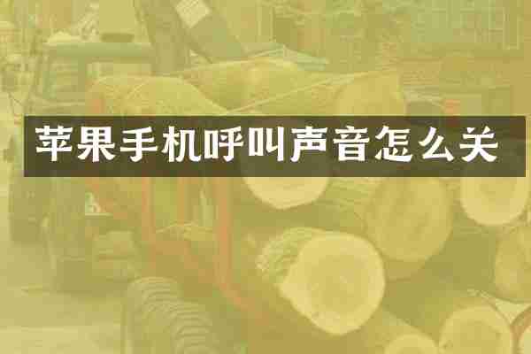 苹果手机呼叫声音怎么关