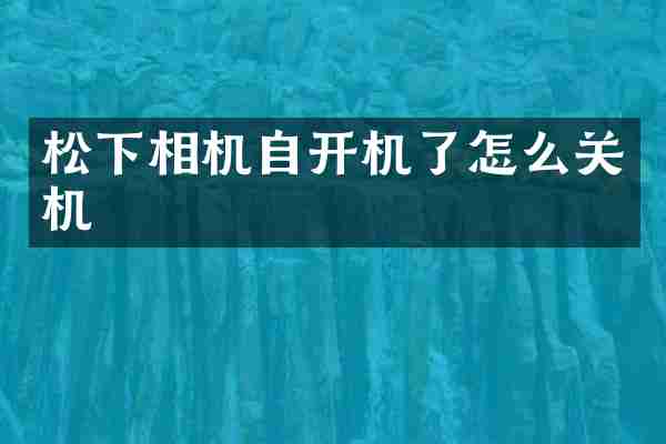松下相机自开机了怎么关机