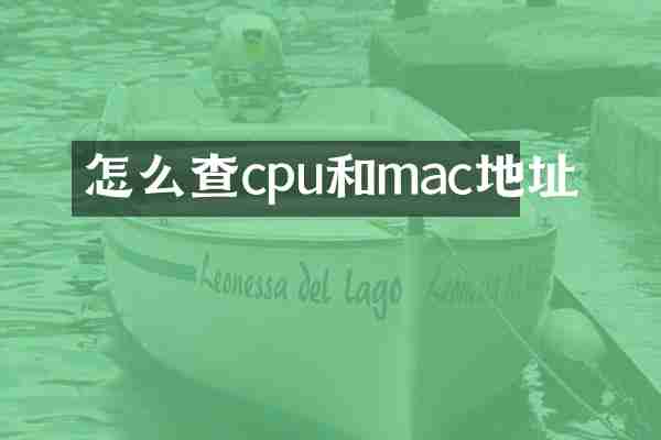 怎么查cpu和mac地址