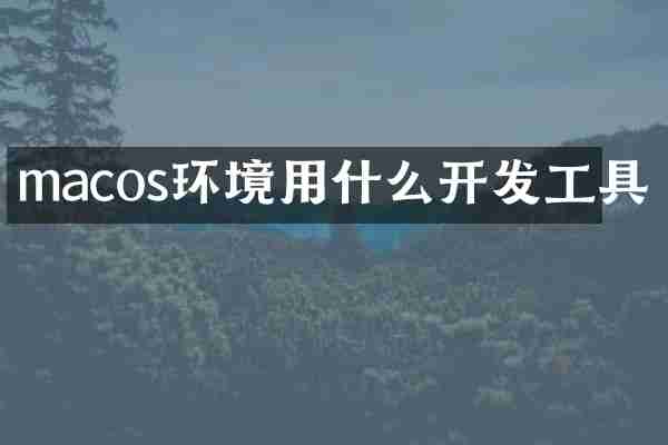 macos环境用什么开发工具