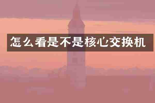 怎么看是不是核心交换机