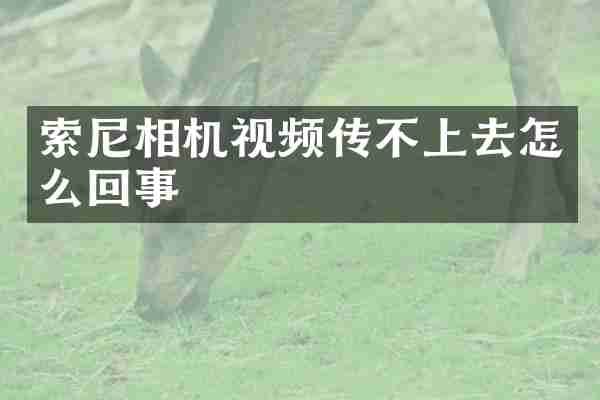 索尼相机视频传不上去怎么回事