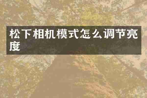 松下相机模式怎么调节亮度