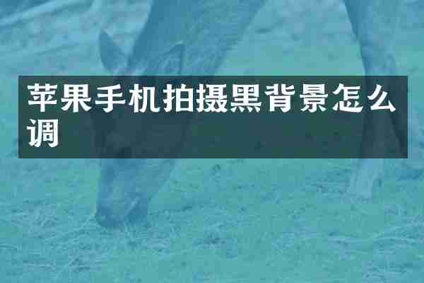 苹果手机拍摄黑背景怎么调