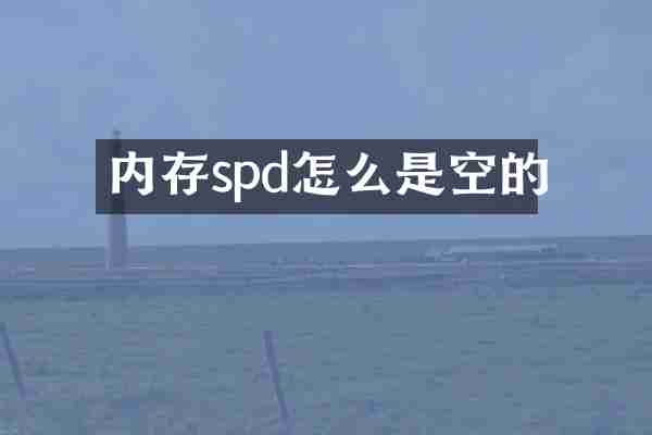 内存spd怎么是空的