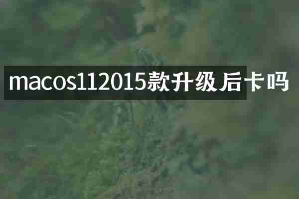 macos112015款升级后卡吗