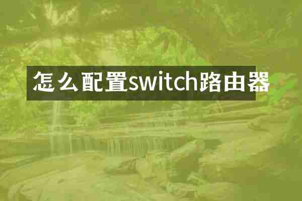 怎么配置switch路由器